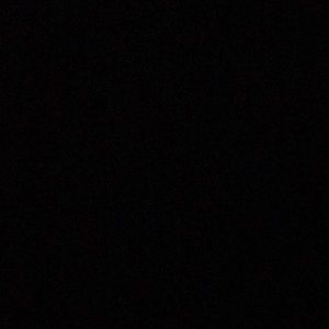 Meet your Posher, Shanon